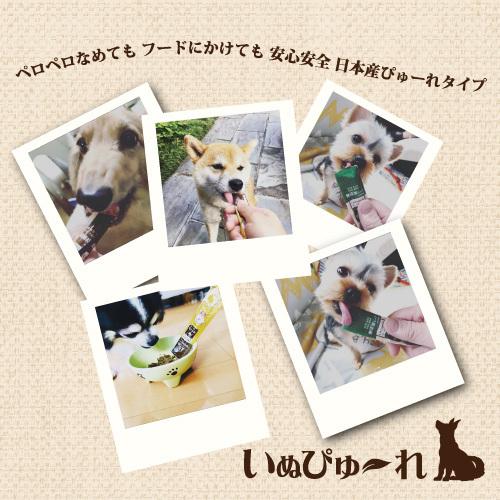 直送便　犬 おやつ いぬぴゅーれ 無添加ピュア Premium100 薩摩芋select 鶏さつまいも / チーズさつまいも 4本入犬用おやつ/素材100％ 　｜drjpet｜06