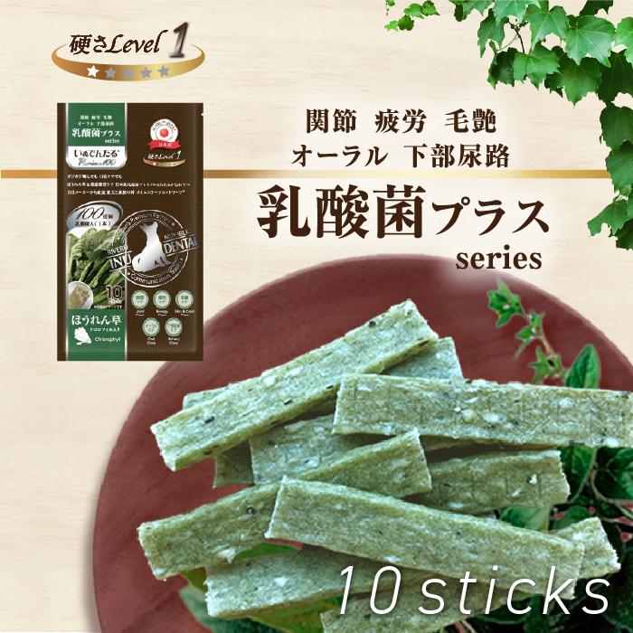 日本産 犬用おやつ いぬでんたる 乳酸菌プラス Premium100 クロロフィル ほうれん草 硬さlevel１ 10本入 国産 犬 ガム 小型犬 シニア ソフト Riverd Republic 通販 Yahoo ショッピング