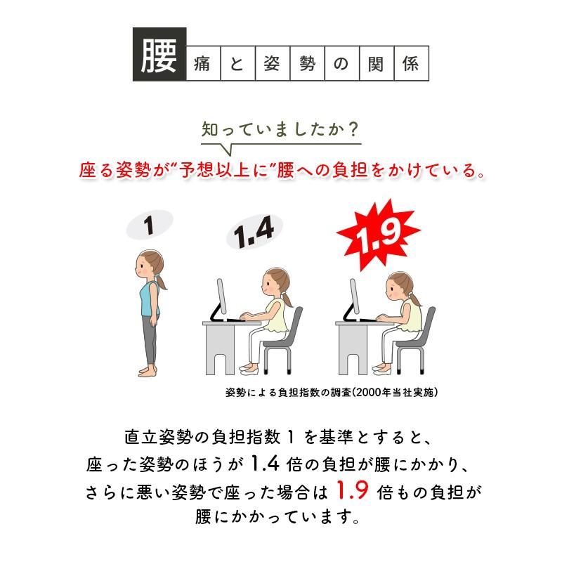EX クッション 腰痛 腰痛対策 長時間 車椅子 在宅ワーク 在宅勤務 リモートワーク オフィス 通気性 柔らかい 健康の画像