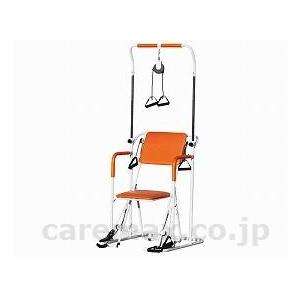 大型商品・送料別途】(H0486)マルチホームトレーナー / YMHT-250(cm 