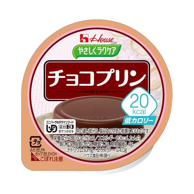 (E0640)やさしくラクケア20kcalチョコプリン/82972→8689260g(cm-279885)【販売単位:1】 : ドクターマート ...