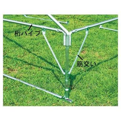 【最安値挑戦中】 集会テントBTS360-1/B-2337(cm-364906)[1台] 【WSO1313657475】(46133円)