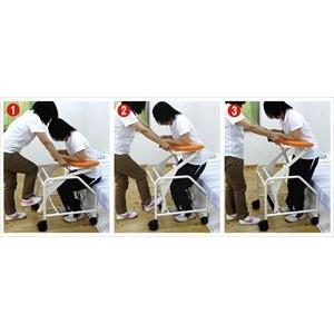 津島鉄工所歩く事をあきらめない歩行器 たぁ〜くん(wf-340501)