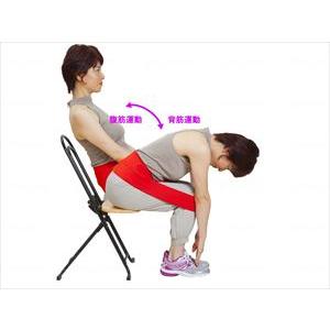 トップ通商 腸腰筋リラックスベルト　ラクナール えんじ M(wf-667501-1)【単位：1】