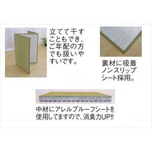 【※送料別途】イケヒコ・コーポレーション い草マットレスPro ダブル(wf-739005-2)【単位：1】の画像