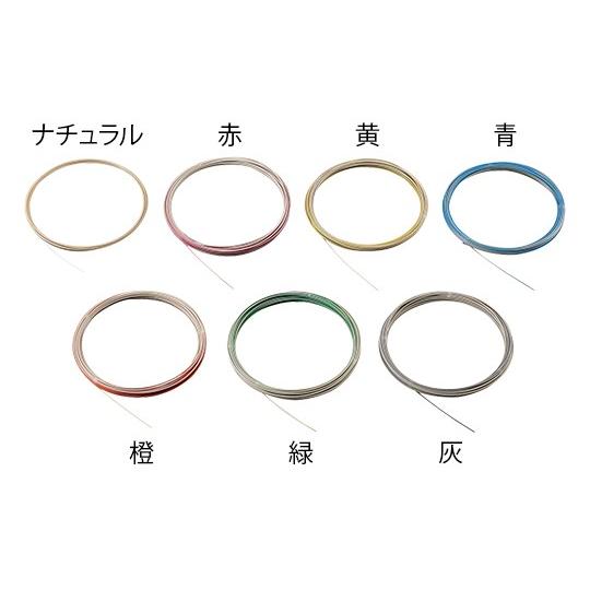 2-9422-03HPLC配管用ＰＥＥＫチューブＮＰＫ−００３０．１×１／３２１巻（１０ｍ）【巻】(as1-2-9422-03)