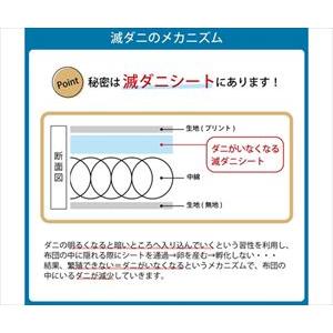 65-0506-86 掛け布団 滅壁蝨目 セミダブルロング 1202890022702【1個】(as1-65-0506-86)
