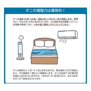 65-0506-86 掛け布団 滅壁蝨目 セミダブルロング 1202890022702【1個】(as1-65-0506-86)