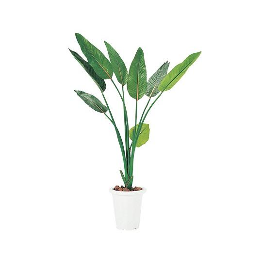 7-3401-05 人工観葉植物 ストレチア G-S
