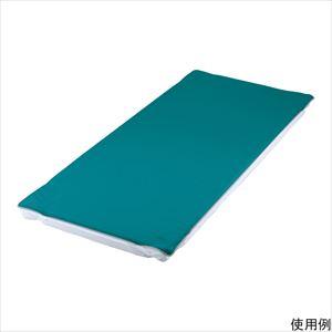 7-6387-03 透湿雨合羽敷き妙 880×1940粍 青味 大 【1枚】(as1-7-6387-03)