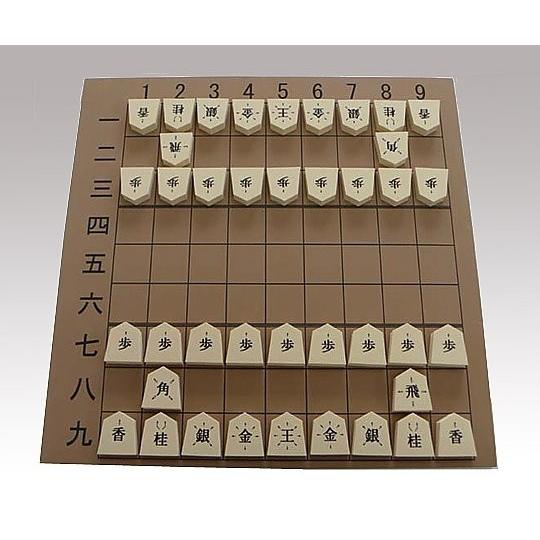 8-3898-02屋内教具ビッグかんたん将棋(as1-8-3898-02)
