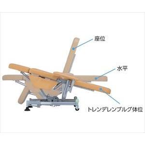 【送料定額】8-9907-21 点滴用リクライニングチェア（トレンデレンブルグ体位対応） 825×1000〜1790×565〜1200mm NRC-03TN【1個】(as1-8-9907-21)_1