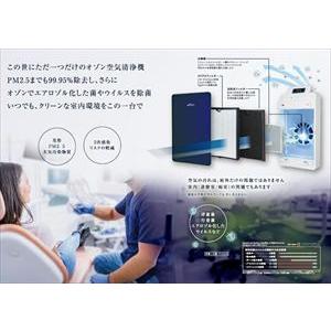 オゾン空気清浄機 DeClean BT-180D(DP072) Deport タムラテコ