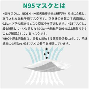 NIOSH N95 防護マスク K0312 1箱(20枚入)ブラック ふつうサイズ 小林薬品 個包装 3D 立体構造 マスク 風邪 花粉 PM2.5 ハウスダストの画像