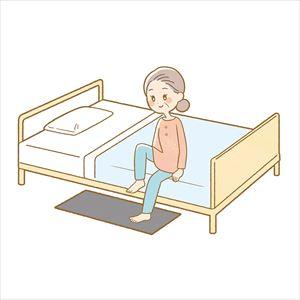 ナースコール連動ふむふむセンサセット Sサイズ 25-7029-01 ハカルプラス CI-U5S/U5A/S2/B(マットS【1単位】の画像