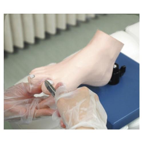 メディカルフットケアモデルフッティー 000メディカルフットケアモデルフッティ 23 6531 00 1台単位 Mt23 6531 00 E0 ドクターマートアネックス 通販 Yahoo ショッピング