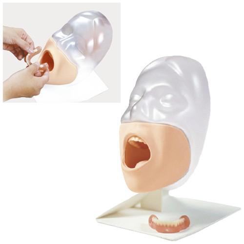 口世話をする模範例 セイケツくん コウクウケアモデルセイケツクン 11277-000(M89)(24-2997-00)【1台ユニット】 ダイエット、健康-オーラルケア