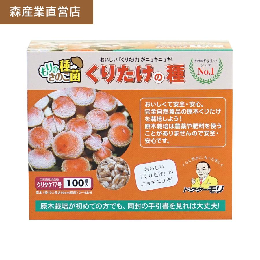 森のきのこ倶楽部 くりたけ 種駒 100個 【正規販売店】森77号 原木栽培