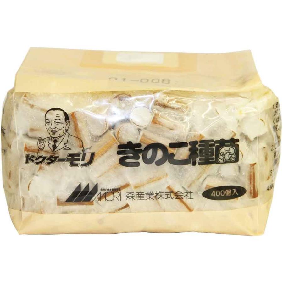 キノコさん専用 きのこ陶器 ランタン 🍄🧡 new✨ グラスはカボチャ型 実物は