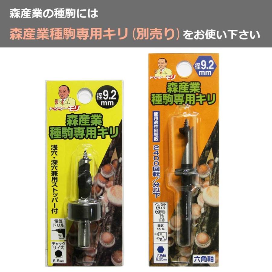 森のきのこ倶楽部 むきたけ 種駒 100個 【正規販売店】森86号
