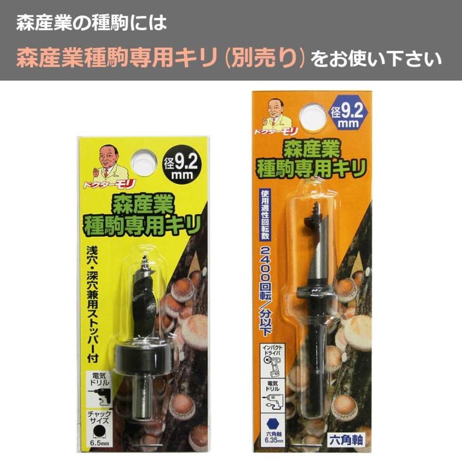 【正規販売店】たもぎたけ種駒【100個】森88号 原木栽培｜タモギタケ種駒 たもぎたけの種 原木たもぎたけ 原木タモギタケ 森産業｜drmori1｜06