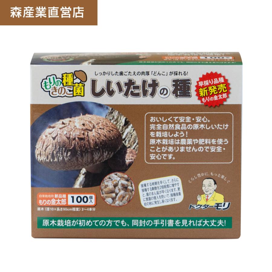 森のきのこ倶楽部 椎茸 種駒 椎茸菌 【正規販売店】シイタケ菌 森のきのこ倶楽部 椎茸 種駒 椎茸菌 【正規販売店】シイタケ菌