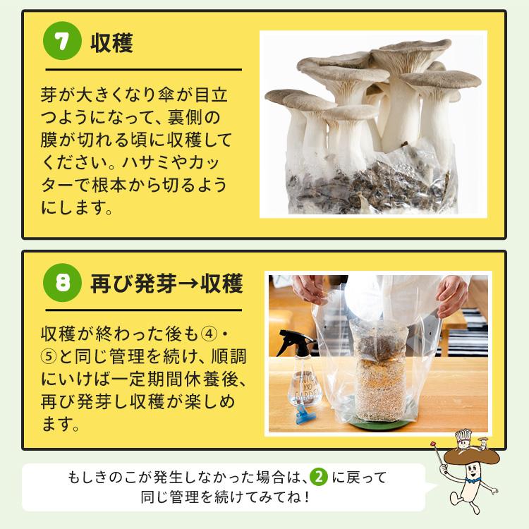 大人気新作 Eringi 様専用 asakusa.sub.jp