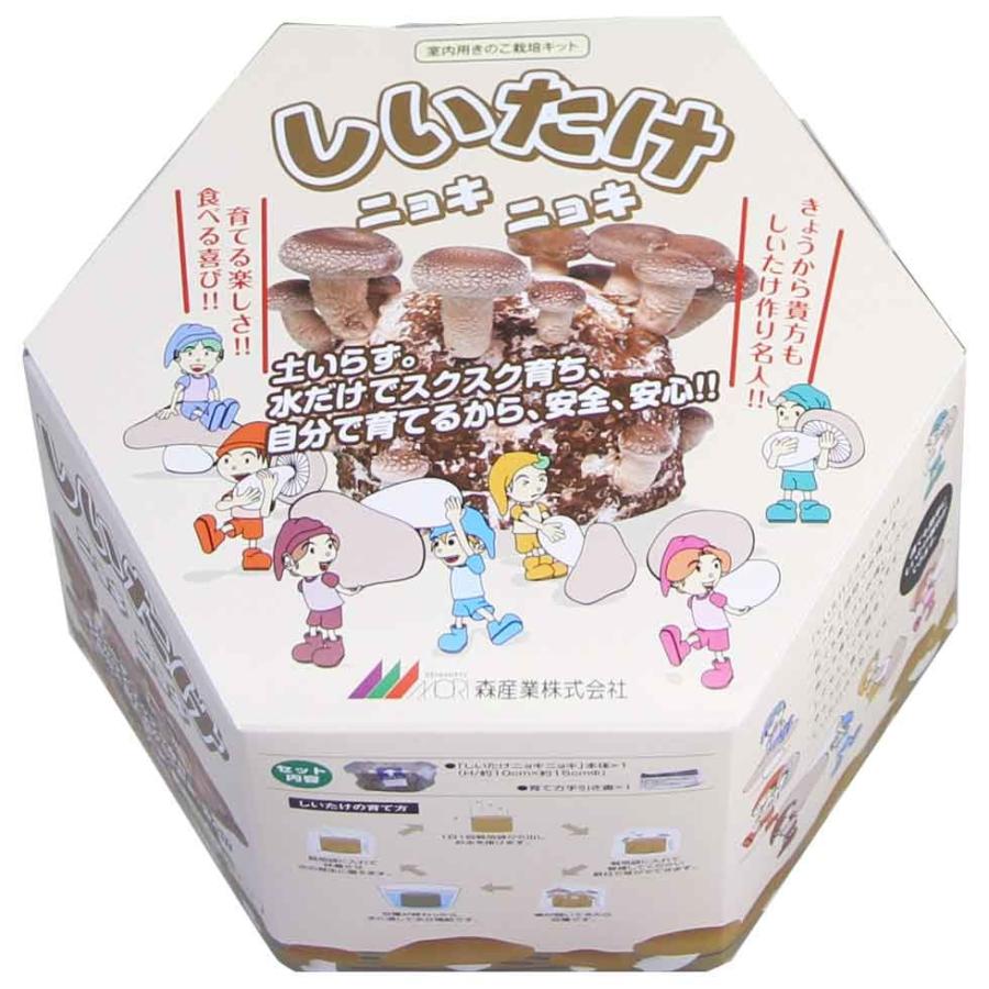 しいたけ栽培キット しいたけニョキニョキ 椎茸栽培キット シイタケ栽培 しいたけ栽培 きのこ栽培 菌床 森のきのこ倶楽部 通販 Yahoo ショッピング