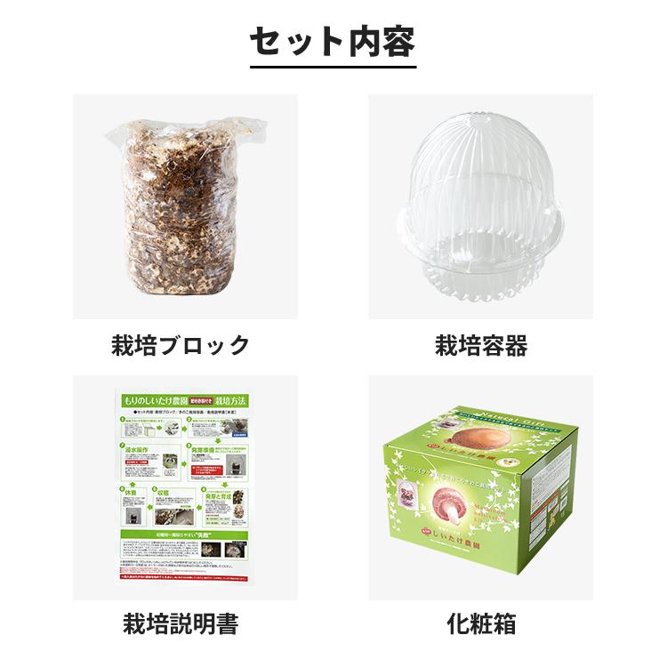 しいたけ栽培キット もりのしいたけ農園 栽培容器付 椎茸栽培キット シイタケ栽培 しいたけ栽培 きのこ栽培 菌床 032 森のきのこ倶楽部 通販 Yahoo ショッピング