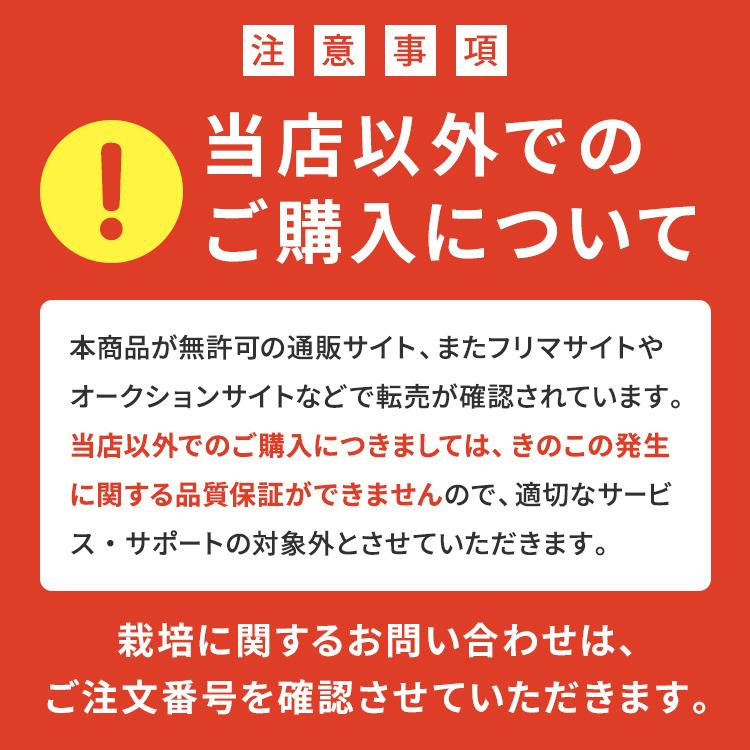 椎茸栽培キット キノコ栽培キット 栽培容器付き 森のきのこ倶楽部 もりのしいたけ農園 正規販売店 椎茸  家庭菜園 きのこ栽培  菌床 生しいたけ  食育 | 森のきのこ倶楽部 | 13