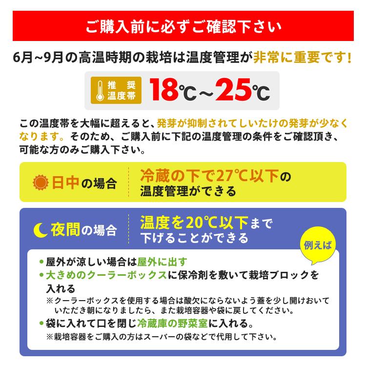 【正規販売店】しいたけ栽培キット／もりのしいたけ農園 栽培容器付 | 椎茸 シイタケ 家庭菜園 きのこ栽培 キノコ栽培 菌床 生しいたけ 国産 食育 きのこ狩り｜drmori1｜05