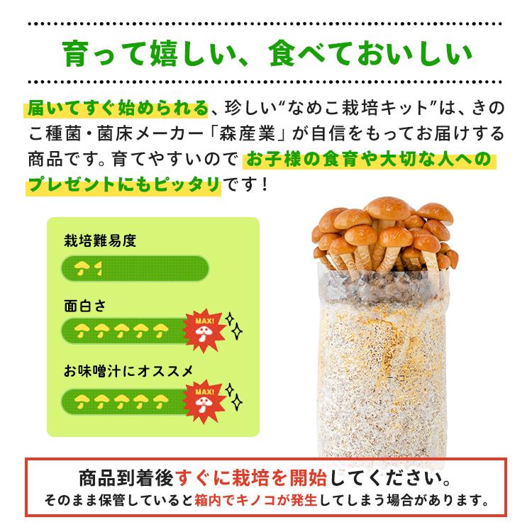 森のきのこ倶楽部 正規販売店 もりのなめこ農園 おかわり君（ブロック