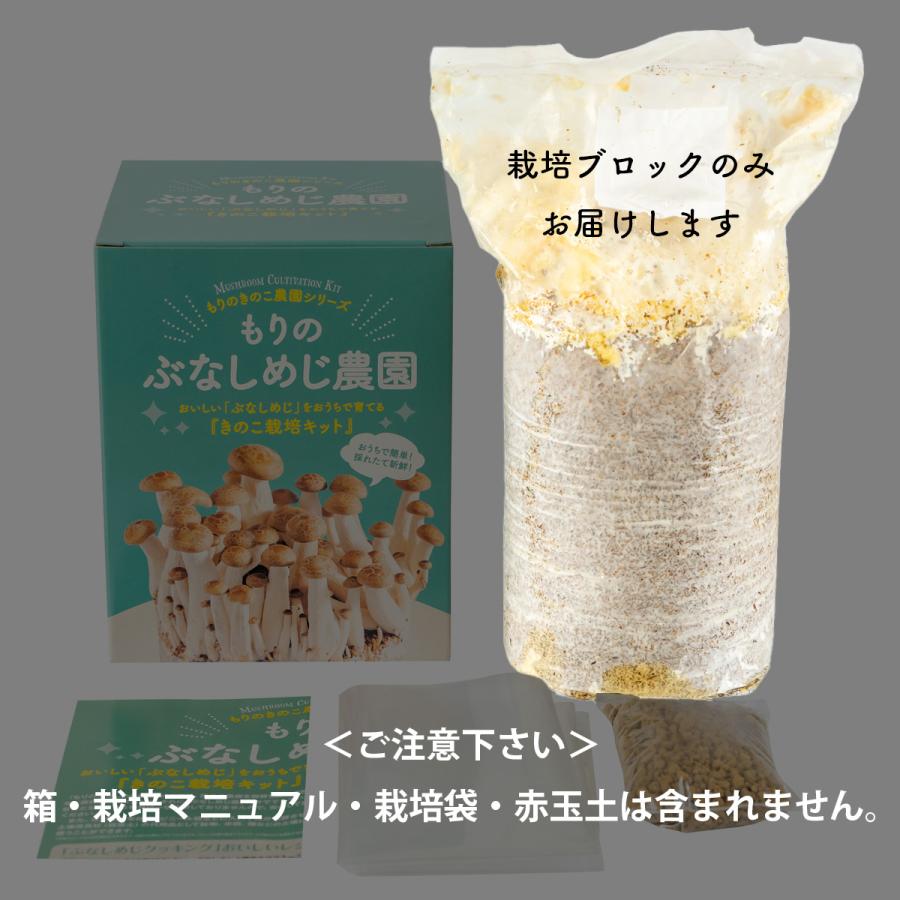 正規販売店 もりのぶなしめじ農園 おかわり君（ブロックのみ）< 説明書など一切付属致しません > ぶなしめじ栽培キット 菌床 ブナシメジ きのこ栽培 | 森のきのこ倶楽部 | 02