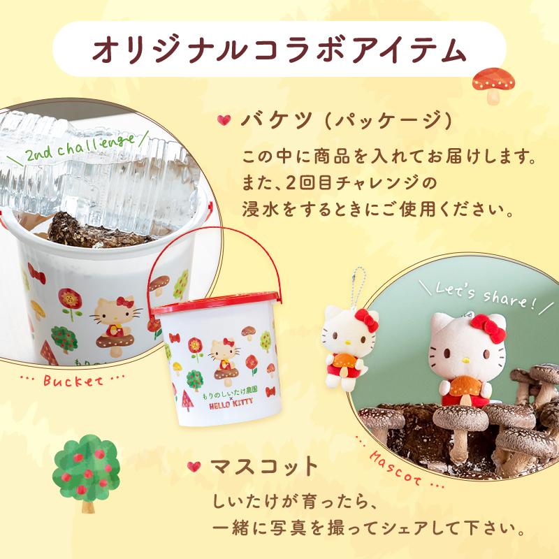 森のきのこ倶楽部 キノコ栽培キット しいたけ栽培キット もりの 