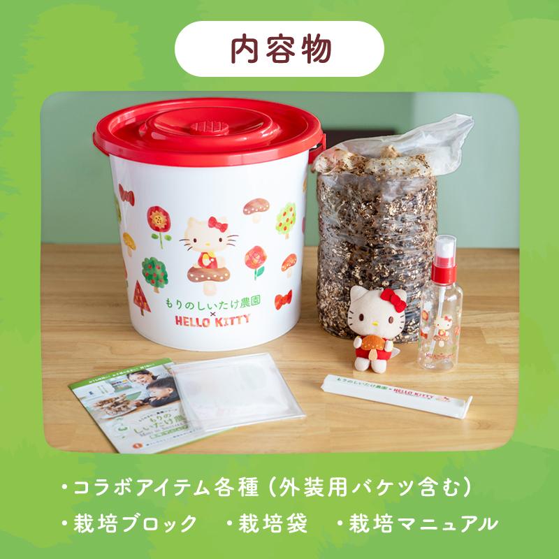 正規販売店】しいたけ栽培キット／もりのしいたけ農園×HELLO KITTY