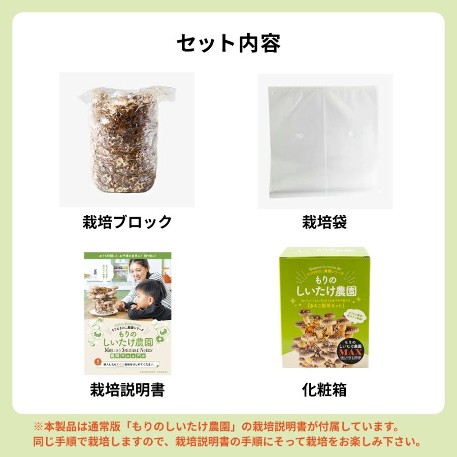 正規販売店 しいたけ栽培キット もりのしいたけ農園MAX 椎茸 シイタケ 家庭菜園 室内 きのこ栽培 キノコ栽培 栽培セット | 森のきのこ倶楽部 | 04