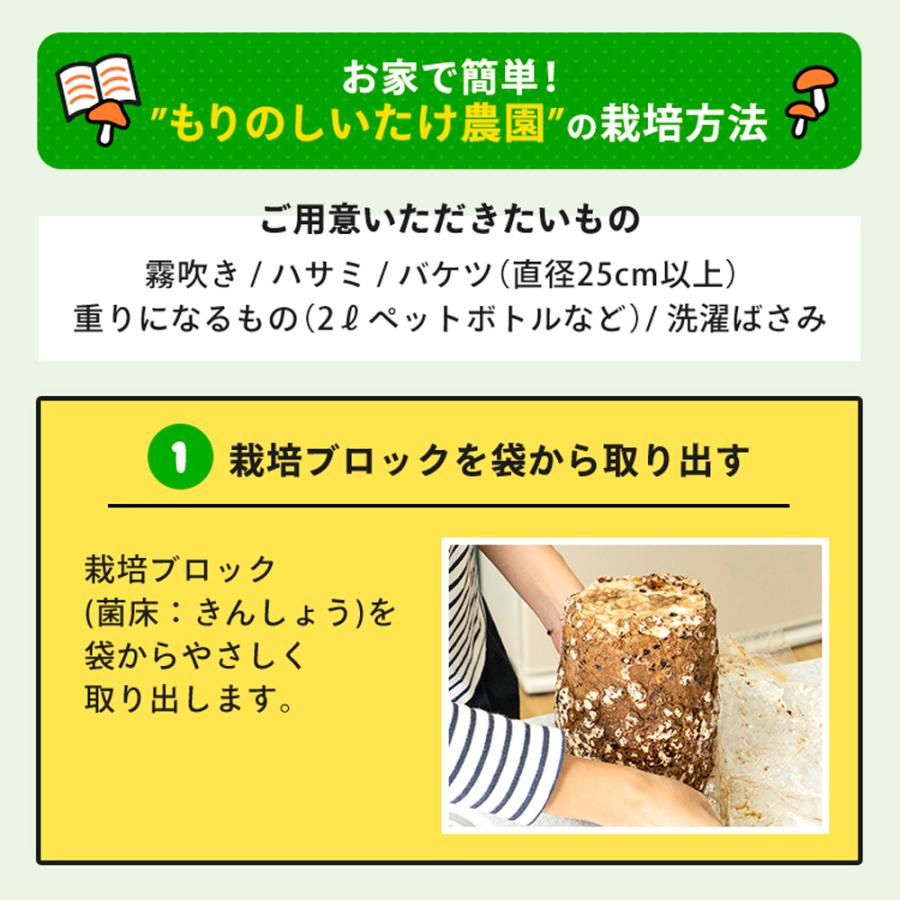 正規販売店 しいたけ栽培キット もりのしいたけ農園MAX 椎茸 シイタケ 家庭菜園 室内 きのこ栽培 キノコ栽培 栽培セット | 森のきのこ倶楽部 | 07