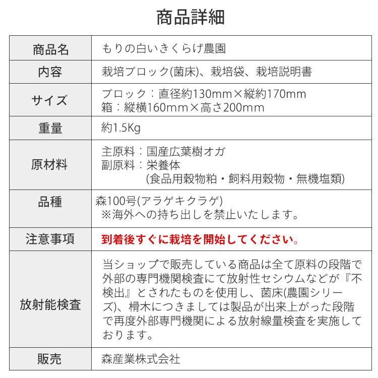 白きくらげ 栽培キット キノコ栽培キット 森のきのこ倶楽部 もりの白いきくらげ農園 正規販売店  キクラゲ栽培 白きくらげ 木耳 栽培 きのこ栽培 菌床 | 森のきのこ倶楽部 | 18