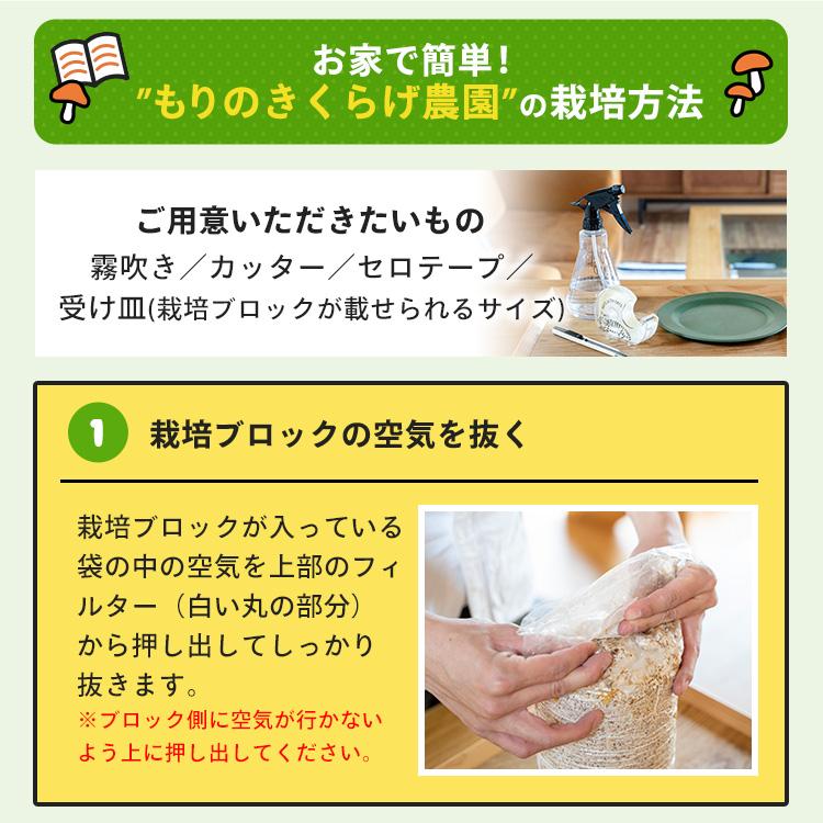 白きくらげ 栽培キット キノコ栽培キット 森のきのこ倶楽部 もりの白いきくらげ農園 正規販売店  キクラゲ栽培 白きくらげ 木耳 栽培 きのこ栽培 菌床 | 森のきのこ倶楽部 | 08