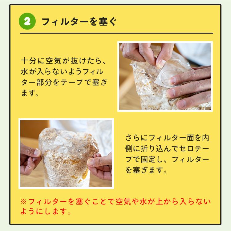 白きくらげ 栽培キット おかわり君（ブロックのみ）< 説明書など一切付属致しませんキクラゲ > 栽培キット 菌床 キクラゲ きのこ栽培 | 森のきのこ倶楽部 | 10