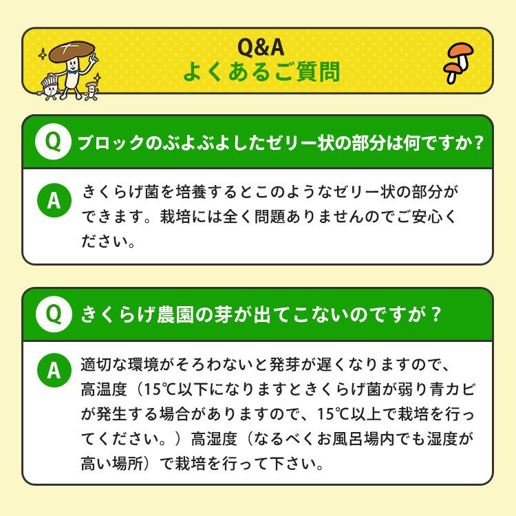 白きくらげ 栽培キット おかわり君（ブロックのみ）< 説明書など一切付属致しませんキクラゲ > 栽培キット 菌床 キクラゲ きのこ栽培 | 森のきのこ倶楽部 | 18
