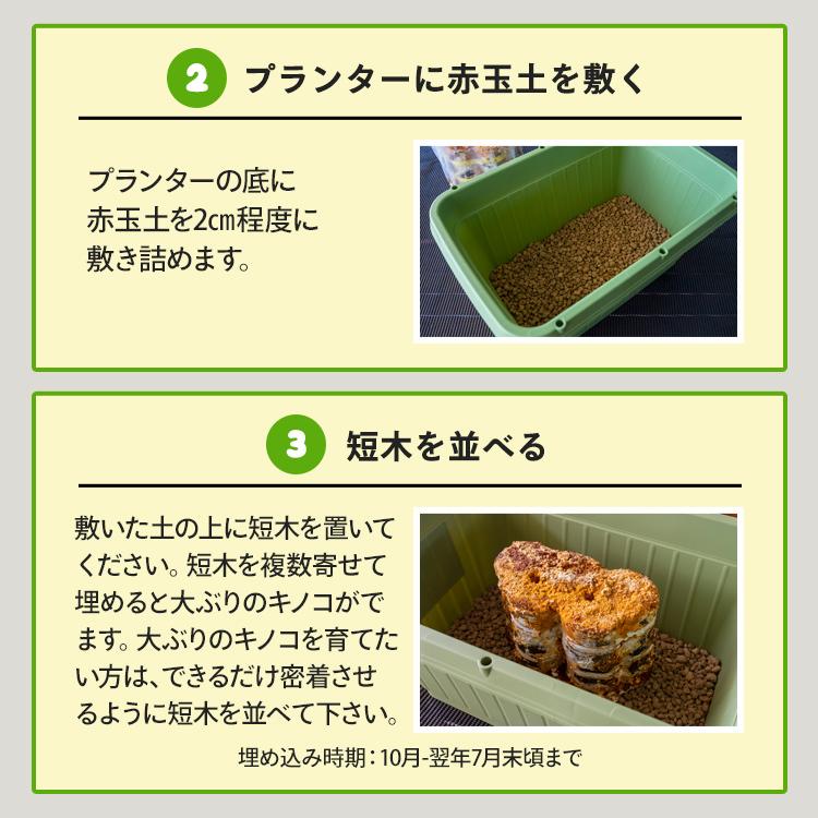 1年保証』 原木きのこ栽培キット きのこの成る木5個チョイス 原木栽培