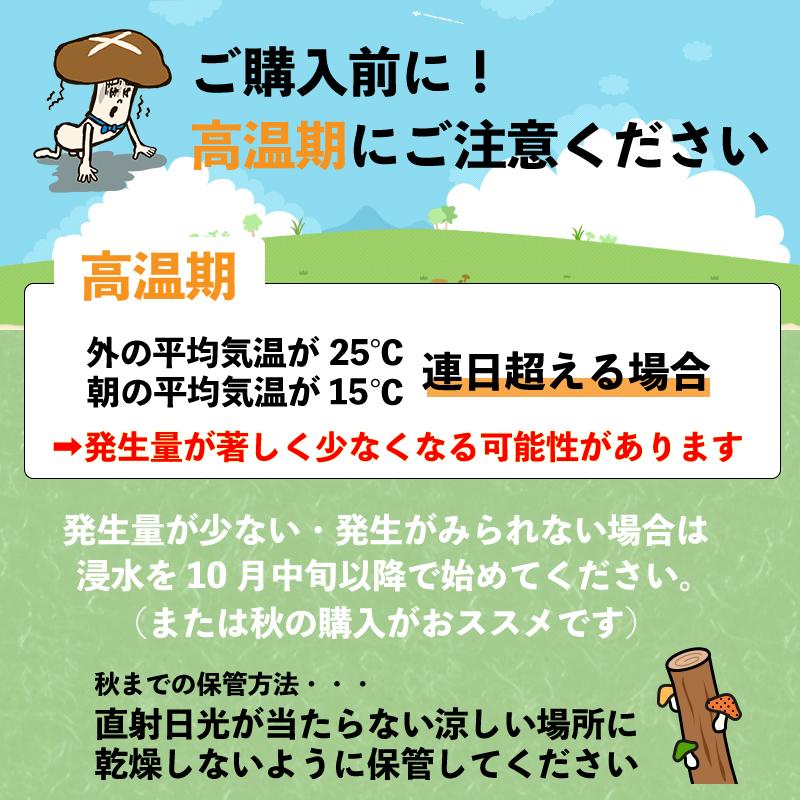 森のきのこ倶楽部 原木椎茸栽培キット しいたけの成る木 椎茸栽培