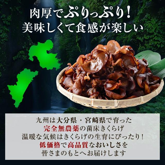 2021新作モデル 業務用 乾燥 きくらげ 100g ホール 3-8cm 中国産 お試し あらげきくらげ 木耳 国産きくらげ(木耳)ホール 長野県産 500g