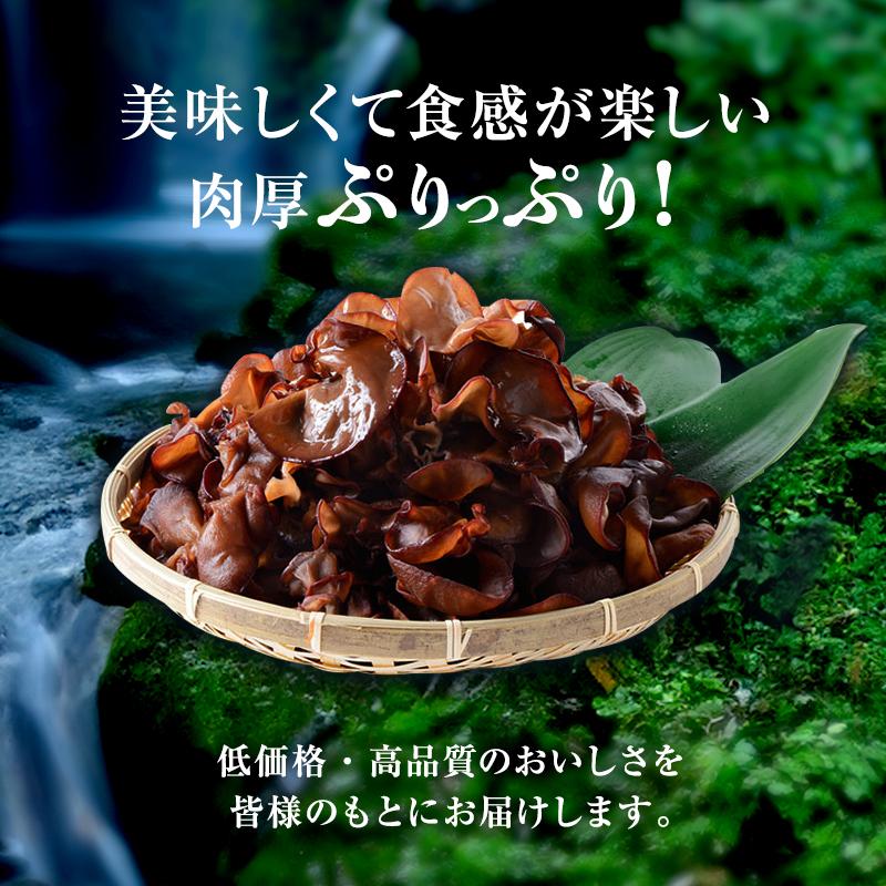 森のきのこ倶楽部 きくらげ 国産 乾燥きくらげ 食物繊維 キクラゲ 300g