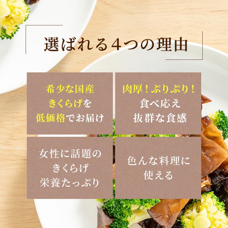 国産乾燥きくらげ300g 無農薬 水のプロが育てる極厚 将軍様のきくらげ
