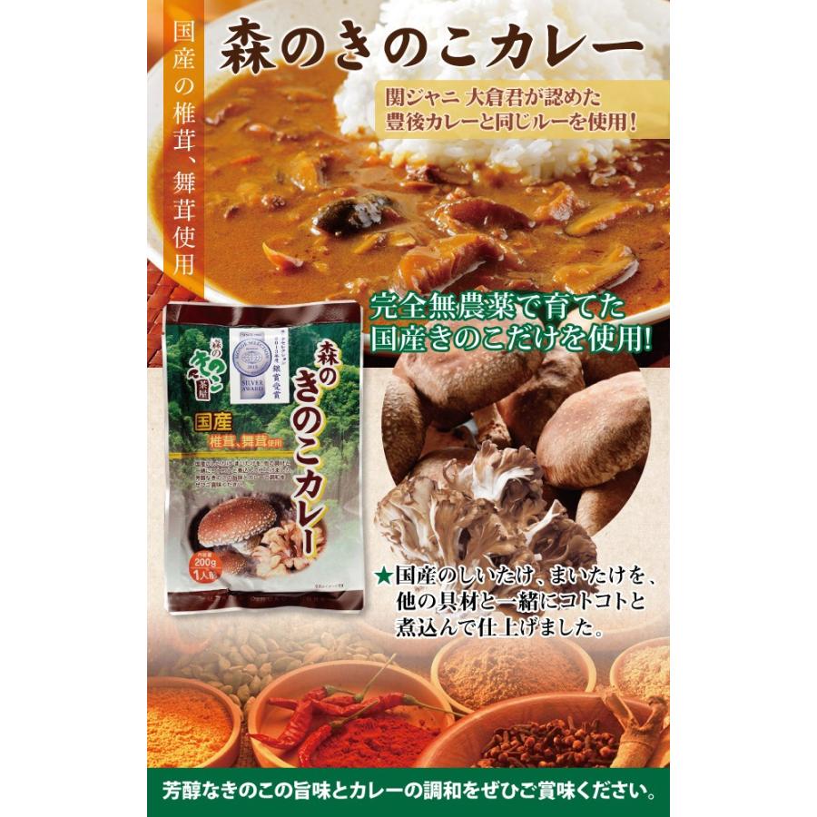 森のきのこカレー 5袋セット 1人前(200g) × 5袋 国産きのこ 椎茸 舞茸カレー 国産カレー 送料無料｜drmori1｜02