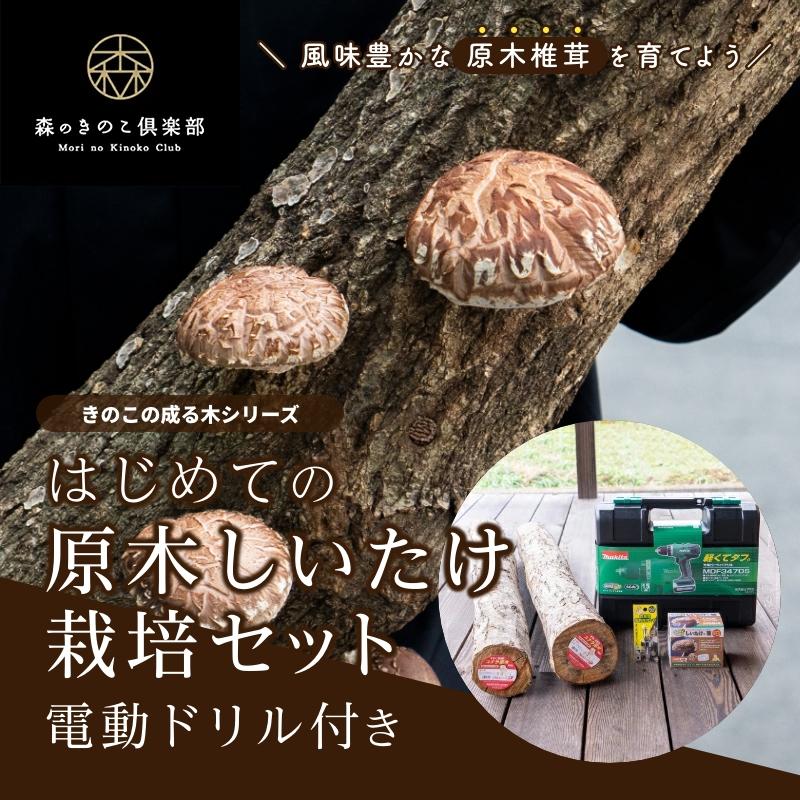 森のきのこ倶楽部 電動ドリル付きはじめての原木しいたけ栽培 森のきのこ倶楽部 電動ドリル付きはじめての原木しいたけ栽培