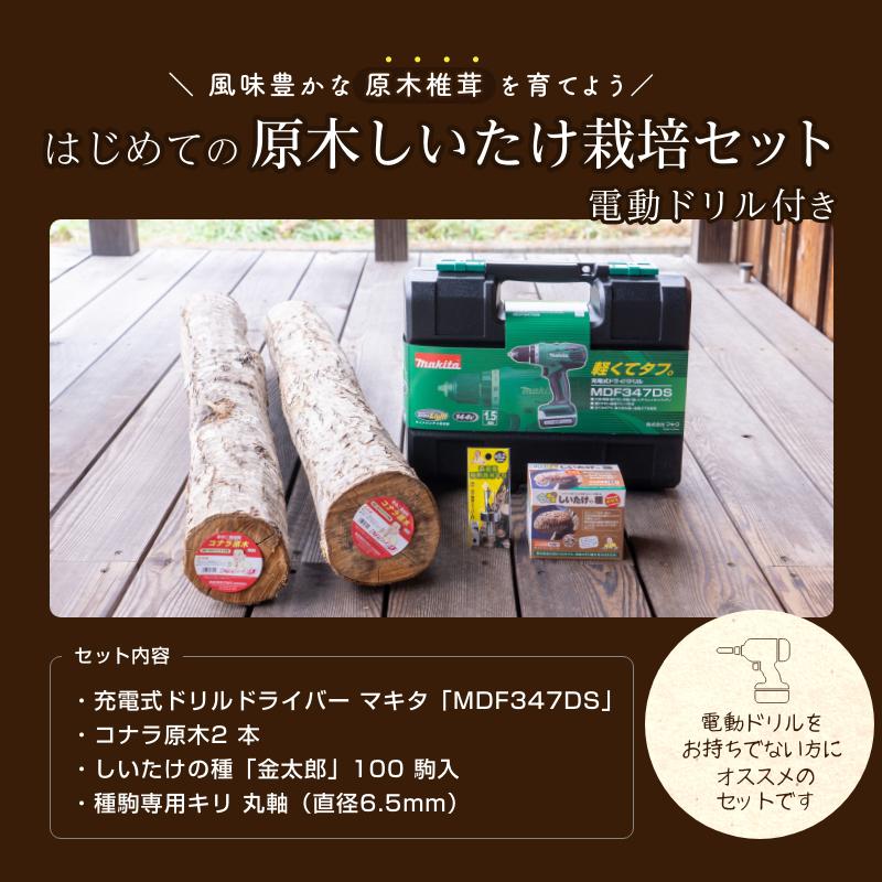 森のきのこ倶楽部 電動ドリル付きはじめての原木しいたけ栽培 森のきのこ倶楽部 電動ドリル付きはじめての原木しいたけ栽培