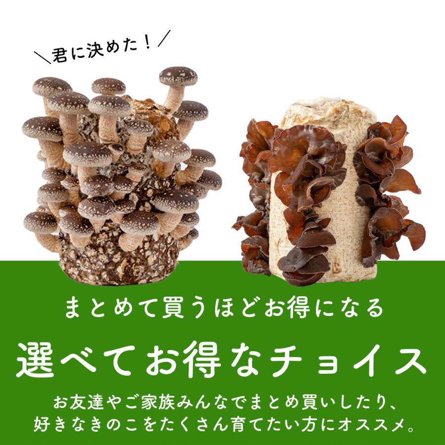 森のきのこ倶楽部 きのこ栽培ブロック（ 付属品なし ）選べる4個